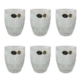 Bohemia Crystal Tumbler Set, 6 Pieces
