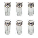 Bohemia Crystal Longdrink Set, 6 Pieces -Silver -300 ml